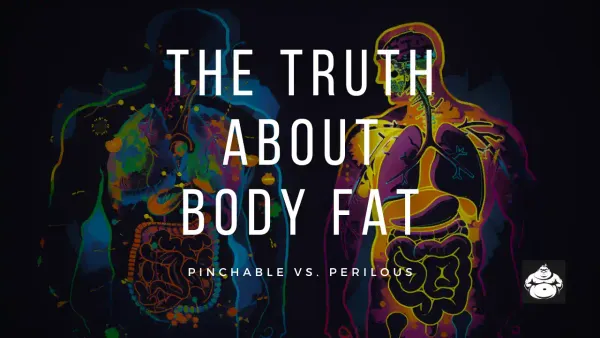 Image showing subcutaneous fat vs visceral fat