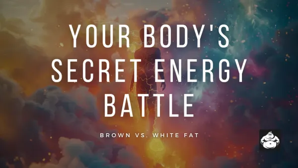 Exploring where body fat go when you lose it.